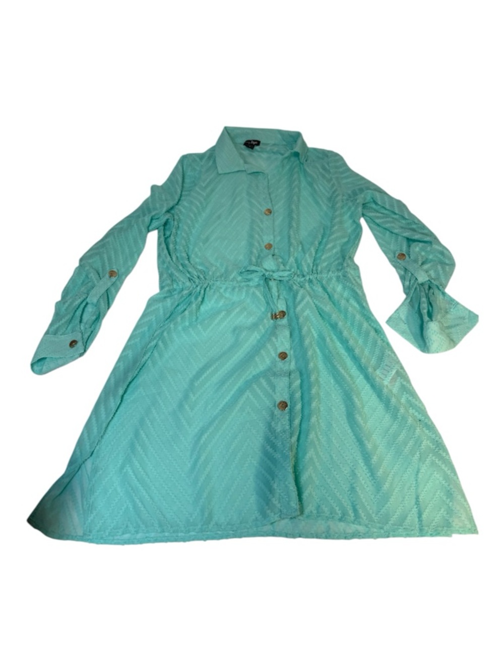 Pour Moi Mint Chevron Mesh Button-Down Swim Cover-Up / Shirt Dress